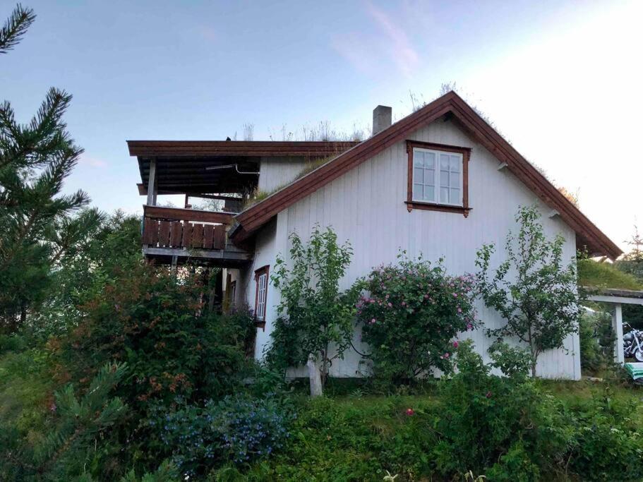 Willa House By The Sea Sortland Zewnętrze zdjęcie